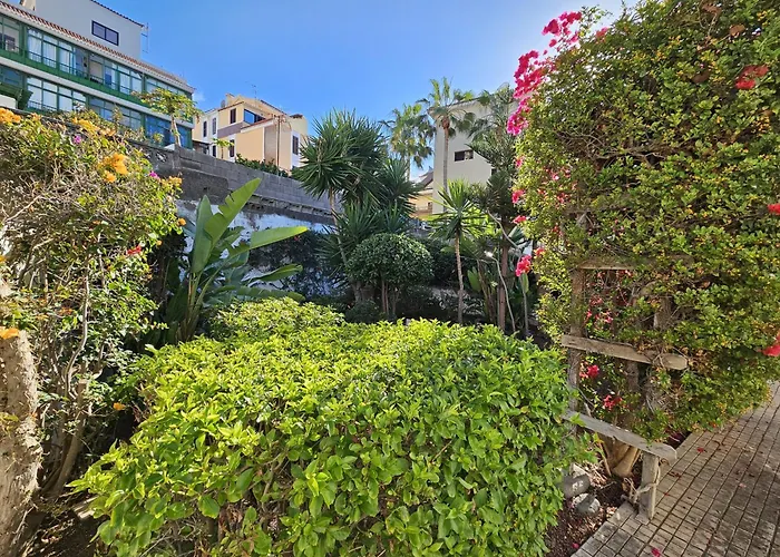 Atlantic & Teide Views Penthouse 아파트 *